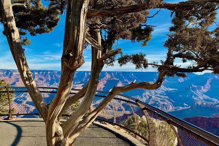 Schilderachtige uitzichten op de South Rim van de Grand Canyon, waaronder Mather Point en de Colorado River, tijdens een dagtrip vanuit Las Vegas, foto 22 | wizardtrip