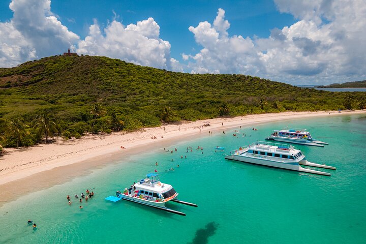 Passeio de catamarã com snorkel para a Ilha de Culebra, Porto Rico, com praias, recifes e atividades aquáticas, foto 6 | wizardtrip