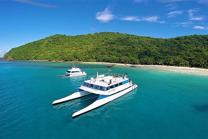 Passeio de catamarã com snorkel para a Ilha de Culebra, Porto Rico, com praias, recifes e atividades aquáticas, foto 7 | wizardtrip