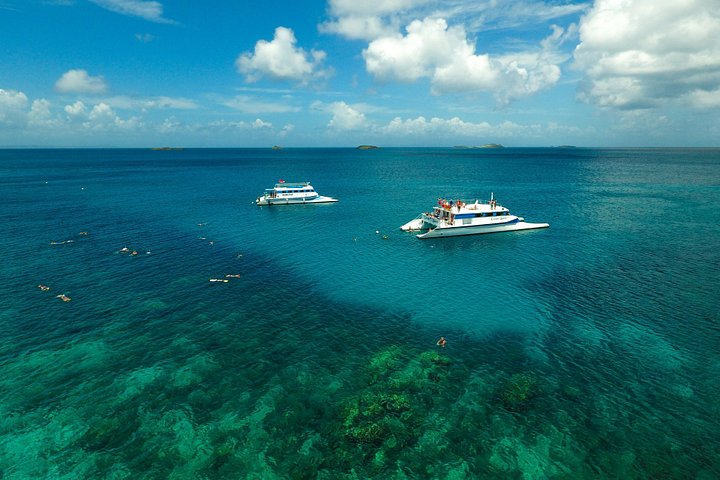 Passeio de catamarã com snorkel para a Ilha de Culebra, Porto Rico, com praias, recifes e atividades aquáticas, foto 10 | wizardtrip