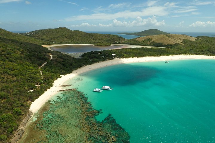 Passeio de catamarã com snorkel para a Ilha de Culebra, Porto Rico, com praias, recifes e atividades aquáticas, foto 11 | wizardtrip