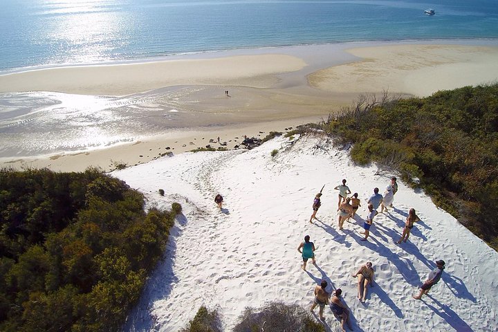 Passeio de barco de dia inteiro explorando K'gari (Fraser Island) com observação de vida selvagem e atividades aquáticas, foto 6 | wizardtrip