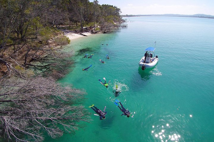 Passeio de barco de dia inteiro explorando K'gari (Fraser Island) com observação de vida selvagem e atividades aquáticas, foto 8 | wizardtrip