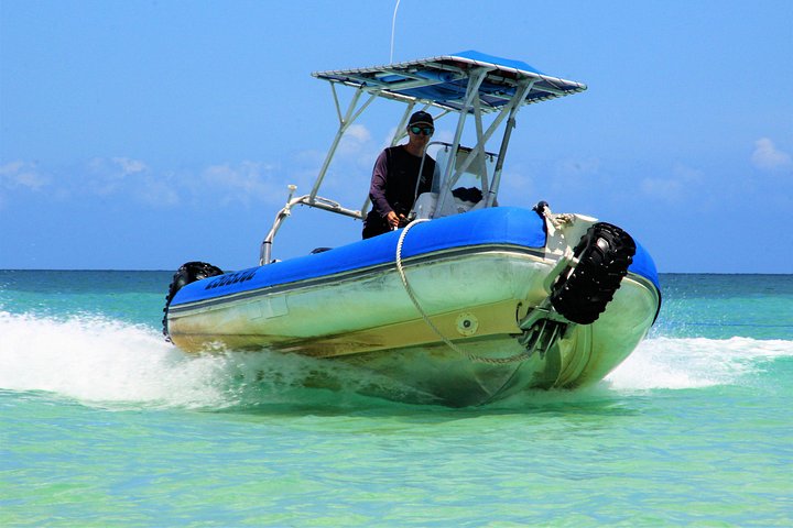 Passeio de barco de dia inteiro explorando K'gari (Fraser Island) com observação de vida selvagem e atividades aquáticas, foto 9 | wizardtrip