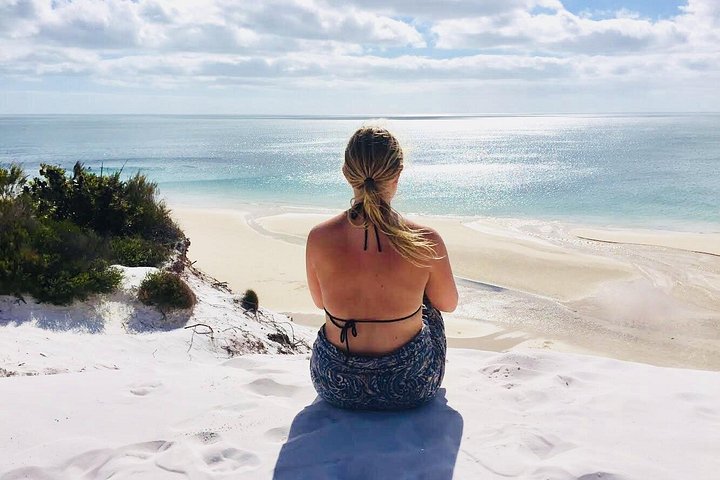 Passeio de barco de dia inteiro explorando K'gari (Fraser Island) com observação de vida selvagem e atividades aquáticas, foto 10 | wizardtrip