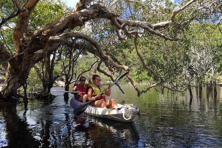 Passeio de barco de dia inteiro explorando K'gari (Fraser Island) com observação de vida selvagem e atividades aquáticas, foto 12 | wizardtrip