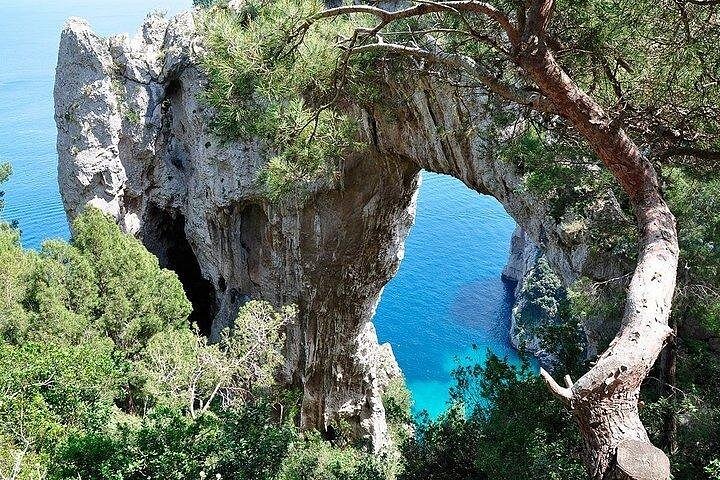 Delt bådtur til Capri øen fra Sorrento, Italien, med naturskøn udsigt og ø-udforskning, foto 7 | wizardtrip