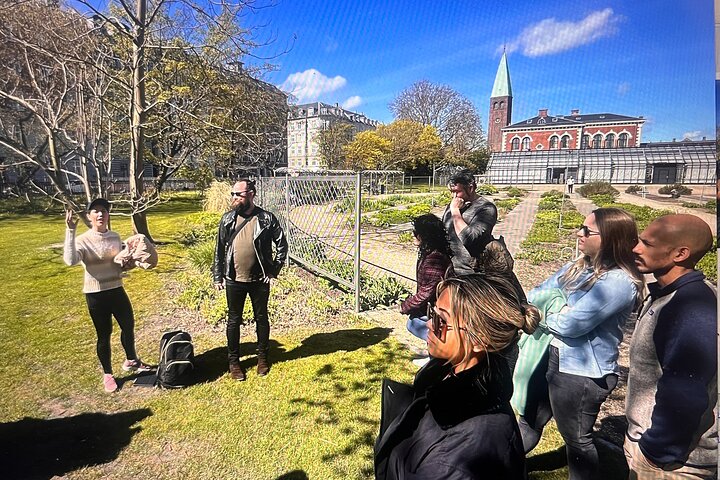 Un viaje culinario por Copenhague, con delicias locales y lugares históricos, foto 9 | wizardtrip