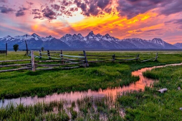 Grand Teton Wildlife Safari in an Enclosed or Open-Air Vehicle (Season Dependent) | wizardtrip