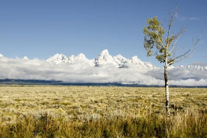Aventura de safari de vida selvagem no Parque Nacional de Grand Teton, EUA, foto 21 | wizardtrip