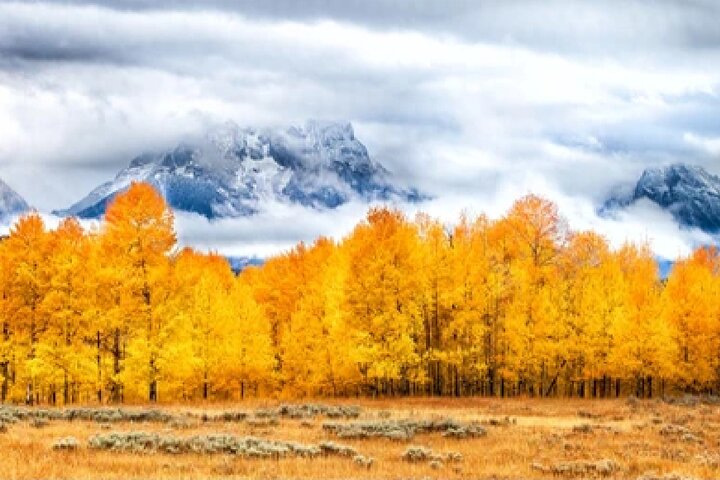 Aventura de safari de vida selvagem no Parque Nacional de Grand Teton, EUA, foto 29 | wizardtrip