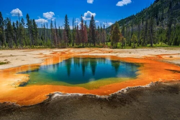 Excursion en petit groupe explorant les geysers, les cascades et la faune de Yellowstone près de Jackson, USA, photo 41 | wizardtrip