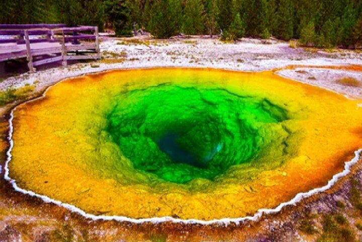 Excursion en petit groupe explorant les geysers, les cascades et la faune de Yellowstone près de Jackson, USA, photo 47 | wizardtrip