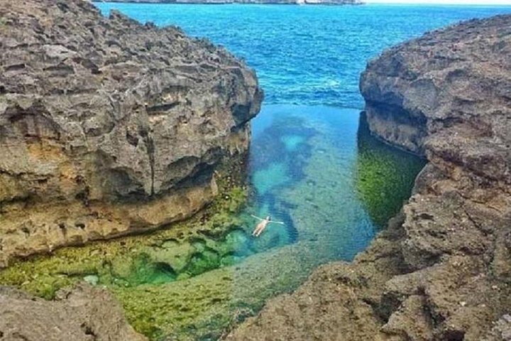 Verken de prachtige kliffen, stranden en natuurlijke zwembaden van Nusa Penida tijdens een privétour van een hele dag vanuit Bali, foto 8 | wizardtrip