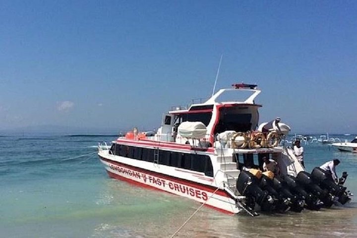 Verken de prachtige kliffen, stranden en natuurlijke zwembaden van Nusa Penida tijdens een privétour van een hele dag vanuit Bali, foto 10 | wizardtrip