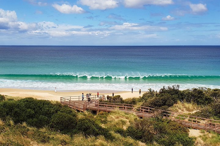 All-inclusive dagtocht naar Bruny Island vanuit Hobart, met vuurtorentours en lokale proeverijen, foto 13 | wizardtrip