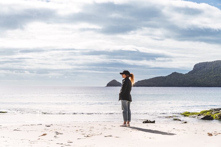 All-inclusive dagtocht naar Bruny Island vanuit Hobart, met vuurtorentours en lokale proeverijen, foto 16 | wizardtrip