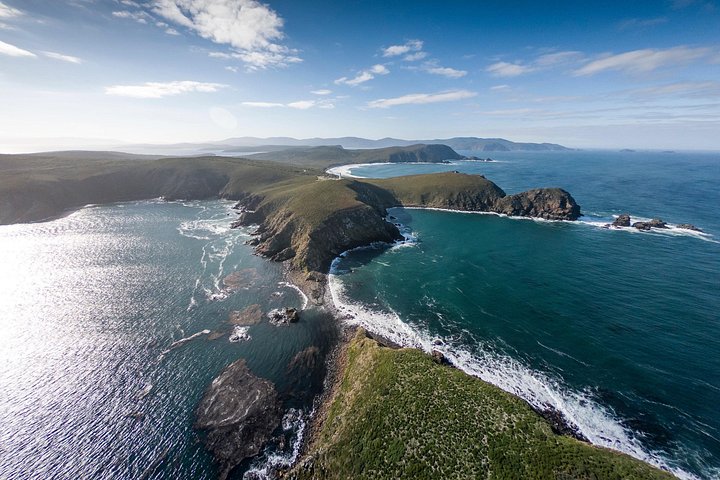 All-inclusive dagtocht naar Bruny Island vanuit Hobart, met vuurtorentours en lokale proeverijen, foto 23 | wizardtrip