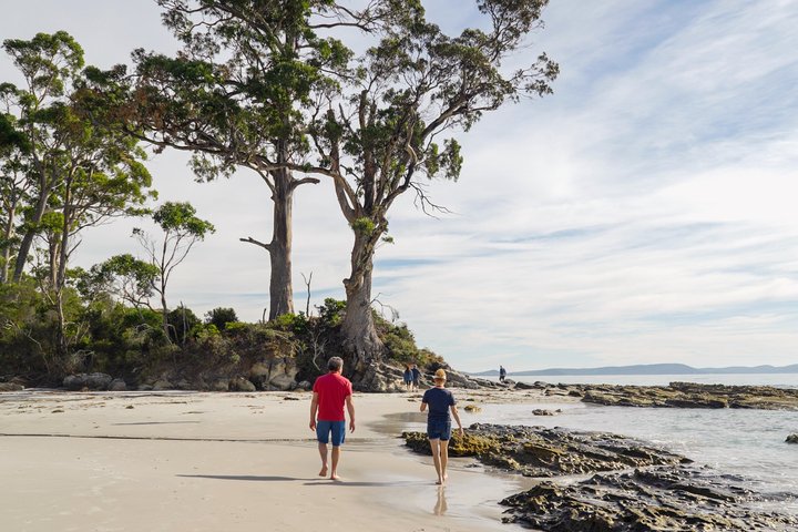 All-inclusive dagtocht naar Bruny Island vanuit Hobart, met vuurtorentours en lokale proeverijen, foto 24 | wizardtrip