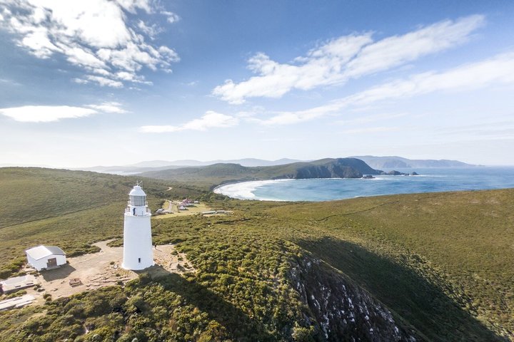 All-inclusive dagtocht naar Bruny Island vanuit Hobart, met vuurtorentours en lokale proeverijen, foto 29 | wizardtrip