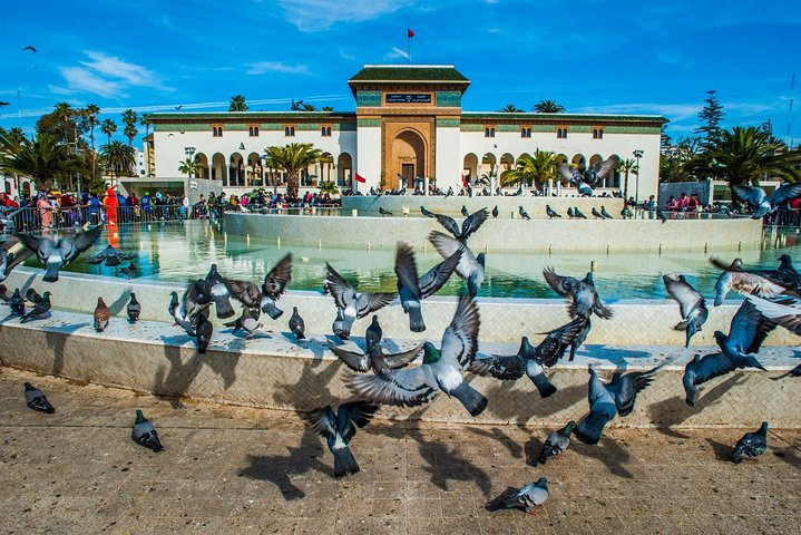 Découvrez la médina animée de Casablanca, le quartier historique des Habous et les sites emblématiques lors de cette visite guidée de la ville, photo 9 | wizardtrip