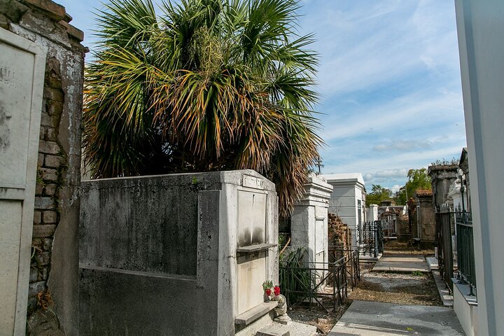 Offisiell vandretur på St. Louis Cemetery No. 1 i New Orleans, som viser historiske graver og gravsteder, foto 8 | wizardtrip
