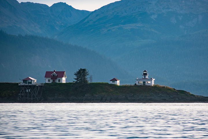 Hvalsafari-tur i Juneau, Alaska, med pukkelhvaler og udsigt til Mendenhall Glacier, foto 10 | wizardtrip