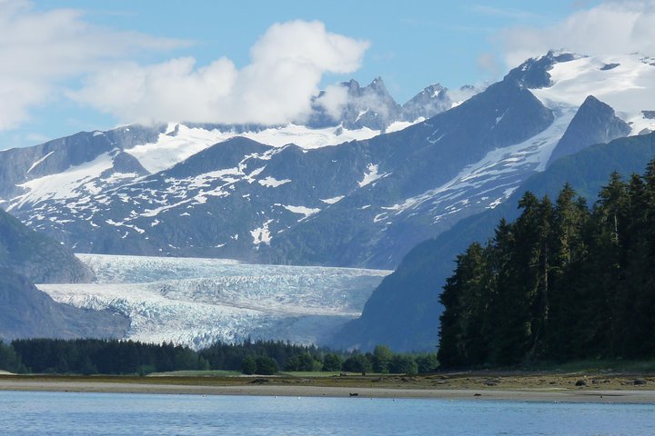 Hvalsafari-tur i Juneau, Alaska, med pukkelhvaler og udsigt til Mendenhall Glacier, foto 14 | wizardtrip