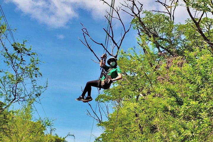 Oplev spændingen ved at zipline gennem junglen i Coral Crater Adventure Park på Oahu, foto 15 | wizardtrip