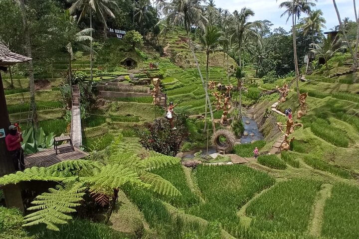 Privé rondleiding door Ubud's Apenbos, Tegalalang Rijstterrassen, Bali Swing, vulkaan Batur, warmwaterbronnen, Tirta Empul Tempel en Tegenungan Waterval, foto 18 | wizardtrip