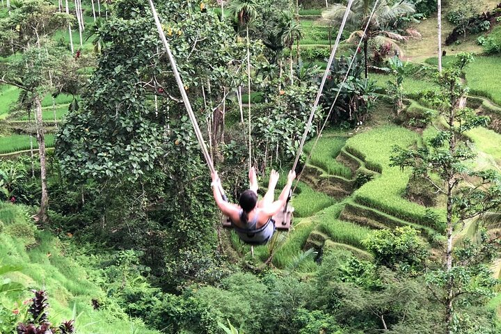 Privé rondleiding door Ubud's Apenbos, Tegalalang Rijstterrassen, Bali Swing, vulkaan Batur, warmwaterbronnen, Tirta Empul Tempel en Tegenungan Waterval, foto 32 | wizardtrip