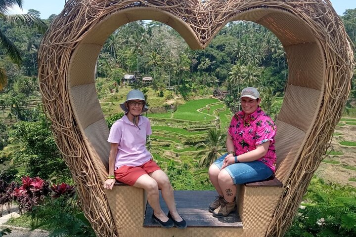 Privé rondleiding door Ubud's Apenbos, Tegalalang Rijstterrassen, Bali Swing, vulkaan Batur, warmwaterbronnen, Tirta Empul Tempel en Tegenungan Waterval, foto 36 | wizardtrip