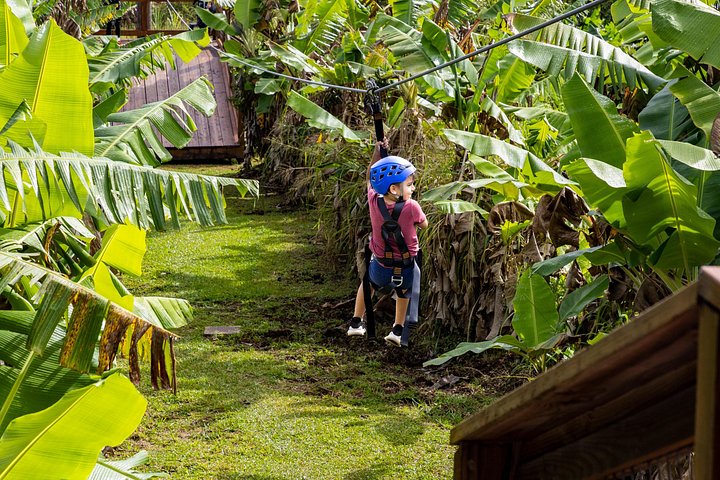 Zipline-avontuur over watervallen en weelderige landschappen op het Big Island van Hawaï, foto 11 | wizardtrip