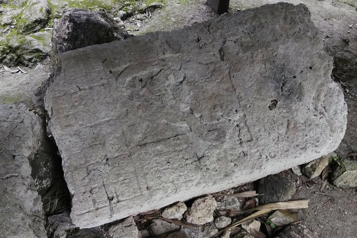 Utflykt till Chacchoben Mayaruiner från Costa Maya, Mexiko, foto 7 | wizardtrip