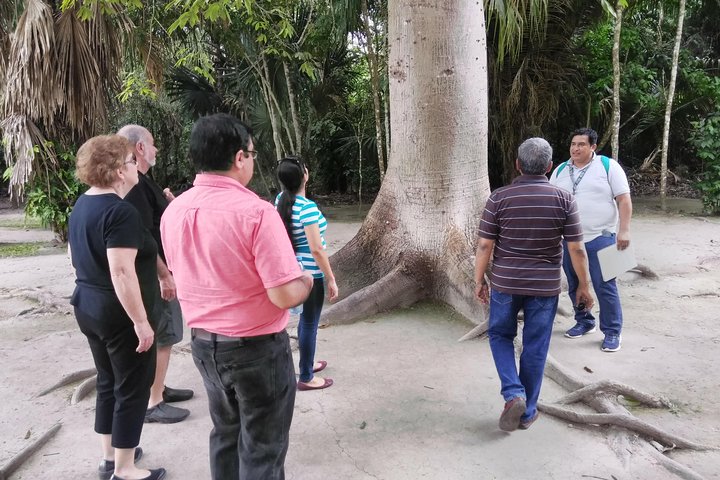 Utflykt till Chacchoben Mayaruiner från Costa Maya, Mexiko, foto 12 | wizardtrip