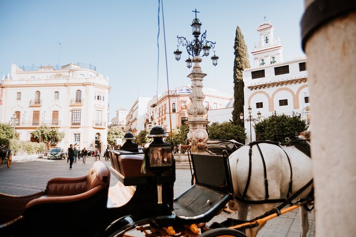 Walking tour of Seville's historic old town, featuring landmarks like Plaza de España and the Cathedral, photo 11 | wizardtrip