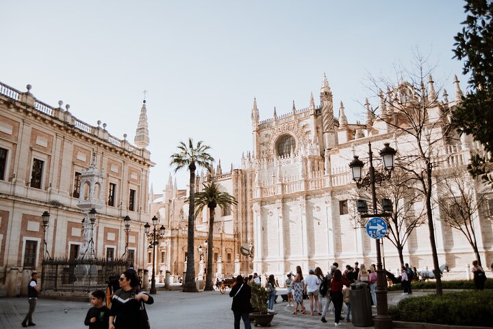 Walking tour of Seville's historic old town, featuring landmarks like Plaza de España and the Cathedral, photo 21 | wizardtrip