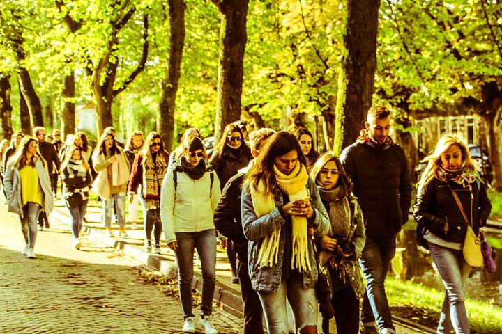 Dagstur, der udforsker hollandske vindmøller, ostegårde og fiskerlandsbyer fra Amsterdam, foto 8 | wizardtrip