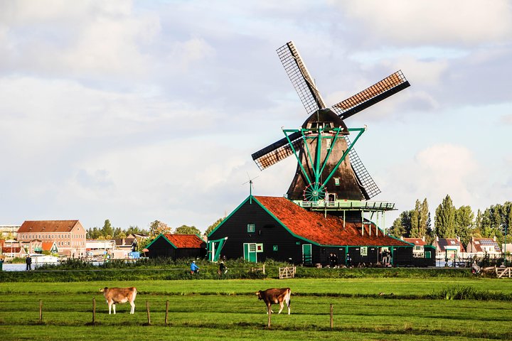Dagstur, der udforsker hollandske vindmøller, ostegårde og fiskerlandsbyer fra Amsterdam, foto 21 | wizardtrip
