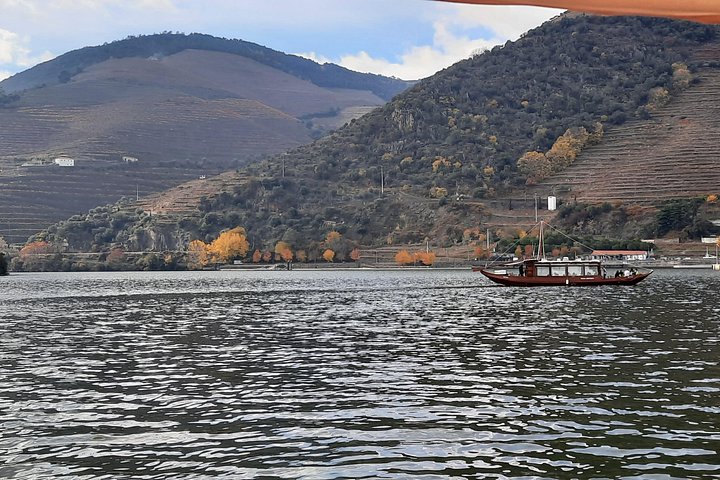 Tour met kleine groep in Douro Vallei, Portugal, met wijnproeverij en riviercruise, foto 11 | wizardtrip