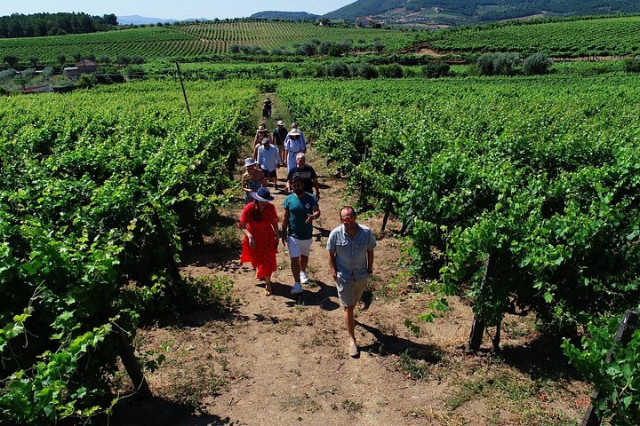 Tour met kleine groep in Douro Vallei, Portugal, met wijnproeverij en riviercruise, foto 12 | wizardtrip