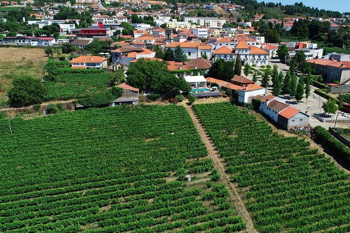Tour met kleine groep in Douro Vallei, Portugal, met wijnproeverij en riviercruise, foto 18 | wizardtrip