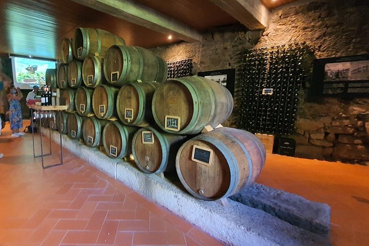 Tour met kleine groep in Douro Vallei, Portugal, met wijnproeverij en riviercruise, foto 31 | wizardtrip