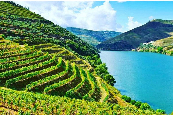 Tour met kleine groep in Douro Vallei, Portugal, met wijnproeverij en riviercruise, foto 33 | wizardtrip