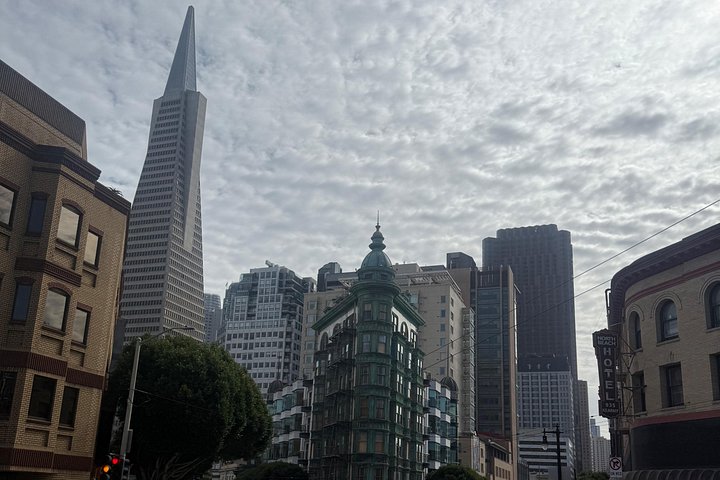 Passeio por São Francisco com a Ponte Golden Gate, sequoias de Muir Woods e Sausalito, foto 11 | wizardtrip