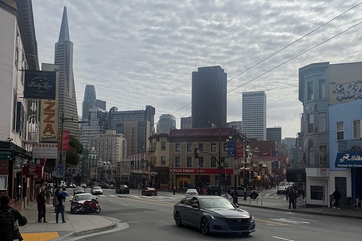 Passeio por São Francisco com a Ponte Golden Gate, sequoias de Muir Woods e Sausalito, foto 12 | wizardtrip