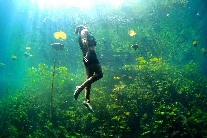 Erkunden Sie vier einzigartige Cenoten im Dschungel von Yucatan mit aufregenden Aktivitäten und einem Gourmet-Mittagessen, Foto 8 | wizardtrip