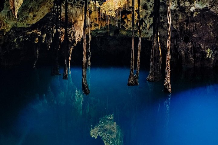 Erkunden Sie vier einzigartige Cenoten im Dschungel von Yucatan mit aufregenden Aktivitäten und einem Gourmet-Mittagessen, Foto 11 | wizardtrip