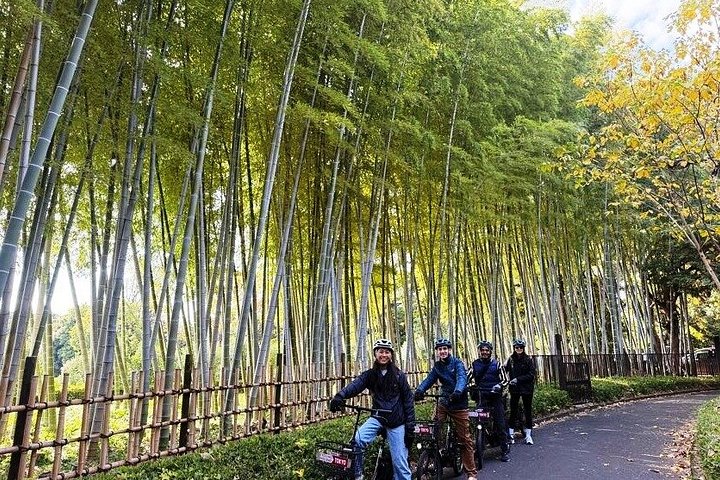 El-cykeltur gennem Tokyos forskellige distrikter, fra historiske steder til moderne gader, foto 14 | wizardtrip