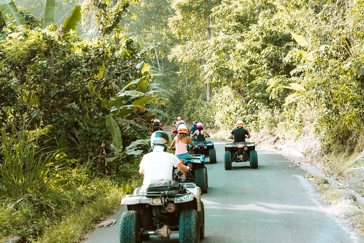 ATV-tur genom frodiga landskap och historiska platser på St. Lucia, foto 16 | wizardtrip